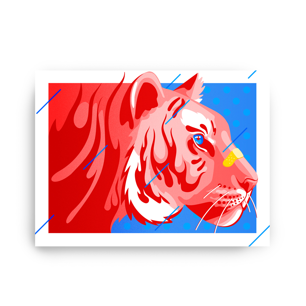 supercat-40x30_webstore